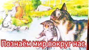 ПРИКЛЮЧЕНИЯ КОТЁНКА / познаем мир вокруг нас/