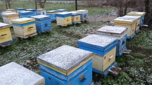 21 апреля погода опять зима