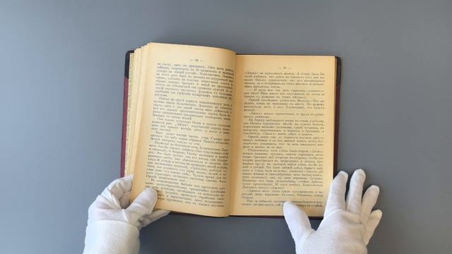 Фокин Н.Н. Охота и охотники (Антикварная книга 1908г.)