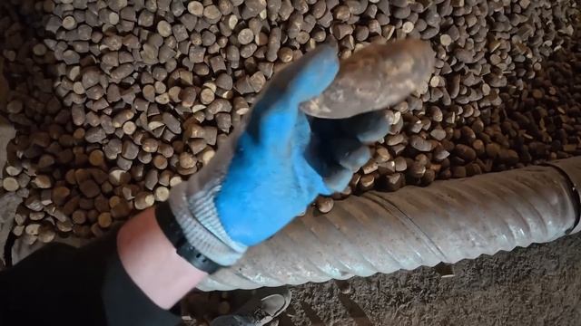 Большинство людей даже не знают, что такое семенной картофель!