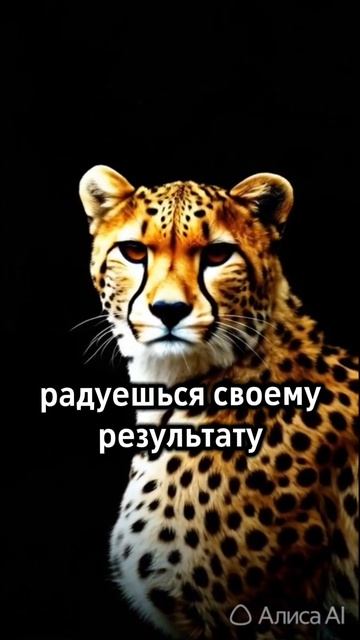 Выбор за тобой)