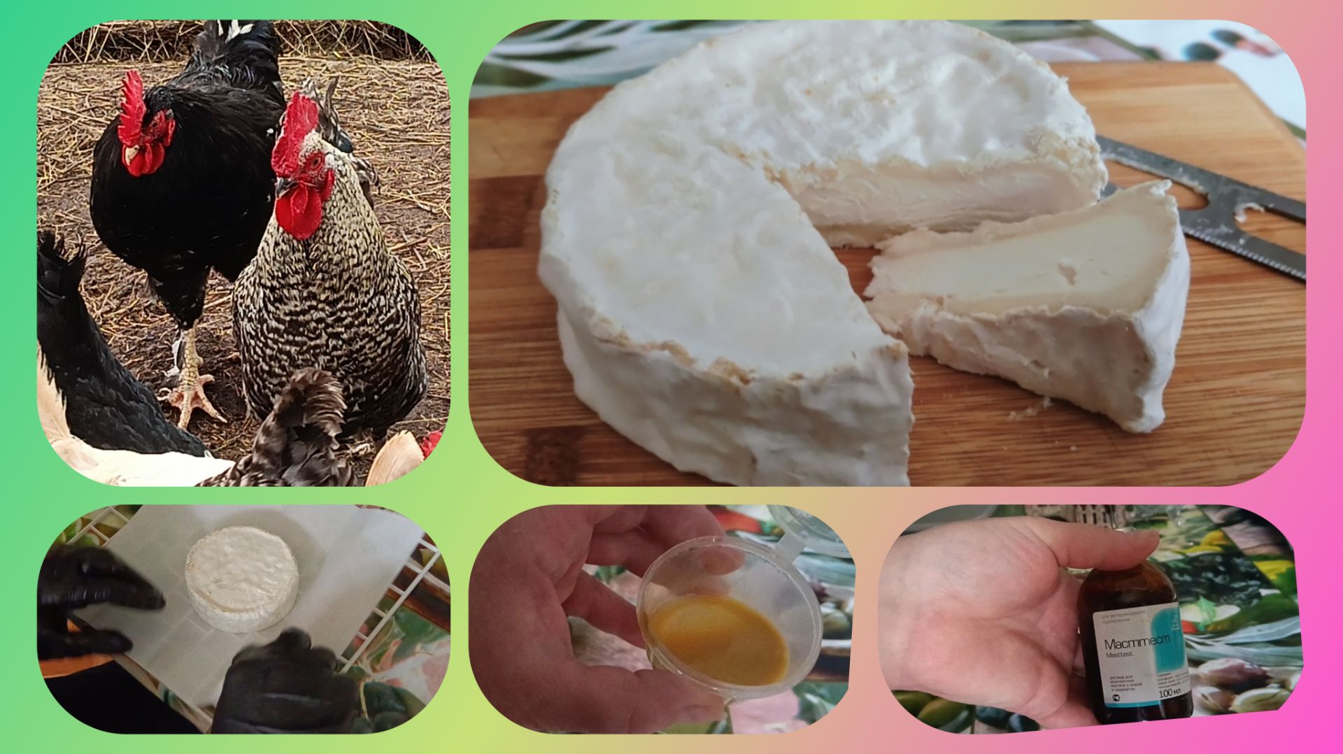 Наконец то я его сделала 😎 А вдруг мастит ? Держим всё под контролем 🧪