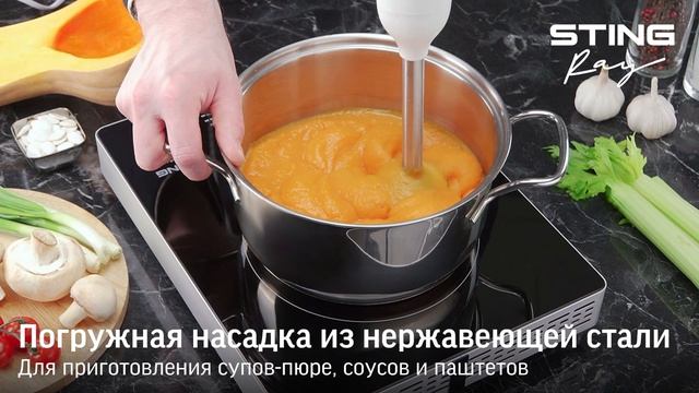 Погружной блендер STINGRAY ST-KP2211B