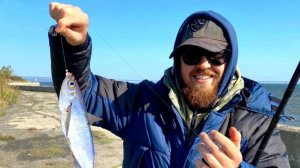 МОНТАЖ НА ЧЕХОНЬ || Снасть для ловли чехони с берега.