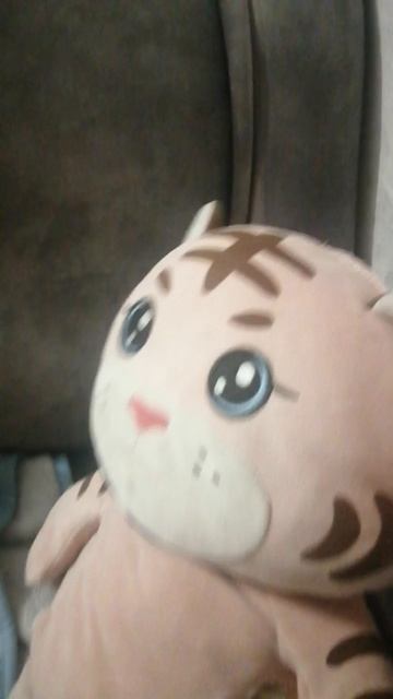 История первая. Новенький или милка влюбилась