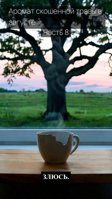 Аромат скошенной травы в августе / Часть 8 / Грустные рассказы / Истории из жизни