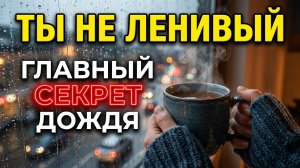 Почему в дождь хочется спать и укутаться в плед?