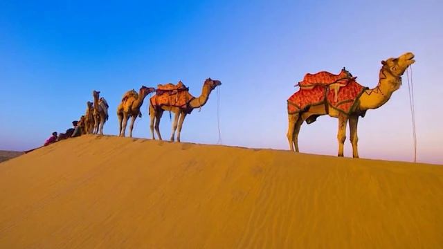 Египет фон 6_encoded