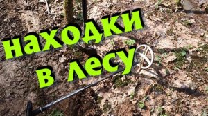 Поиск в весеннем лесу. Находки с металлоискателем !