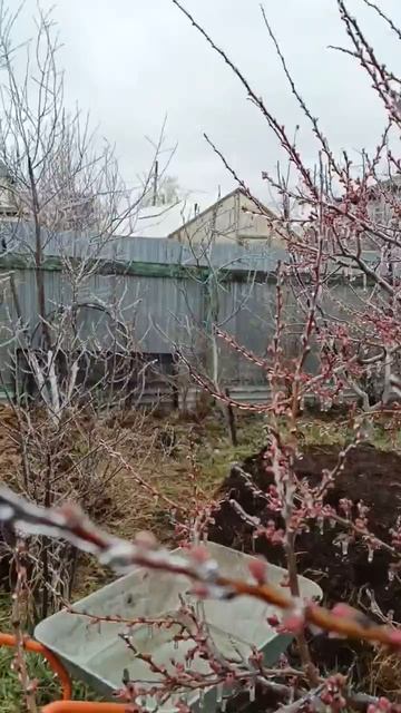 У нас прошел ледяной дождь!