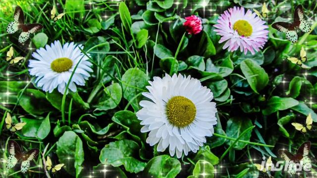 Весна.Автор фото Виталий Андрейчук