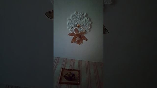 Моё  видение   от   20.05.2025г