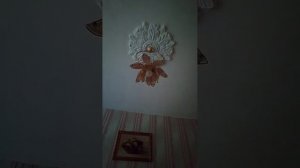 Моё  видение   от   20.05.2025г