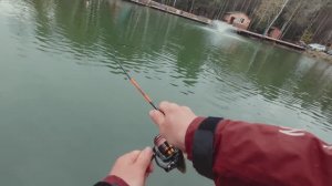 НЕЗАБЫВАЕМЫЙ ЖОР ФОРЕЛИ ВЕСНОЙ