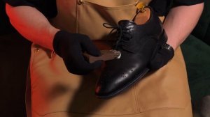 Restoria care – профессиональный домашний уход для кожи и замши