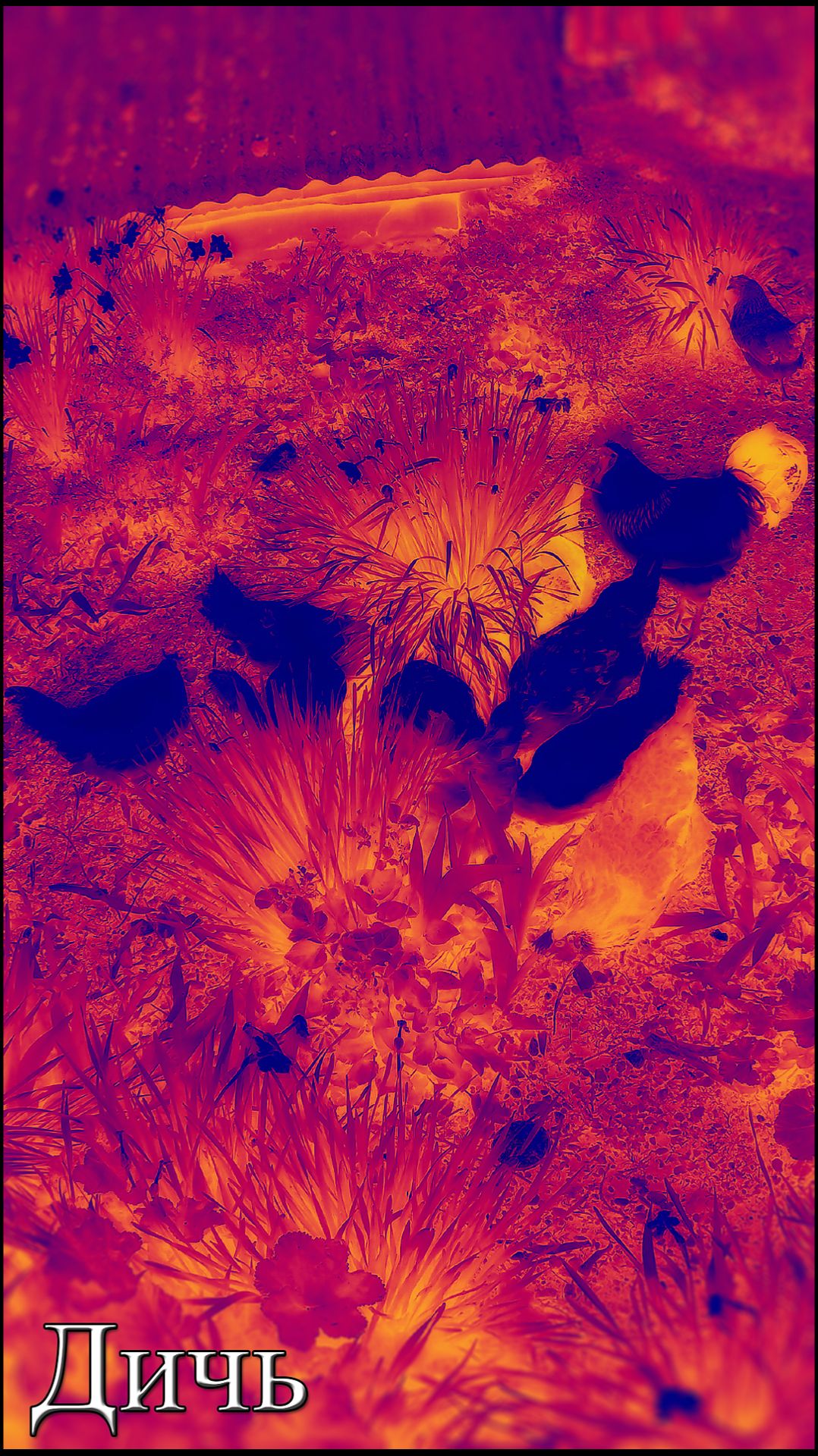 Rossijnin - Дичь