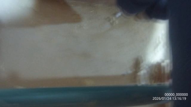 0000000_00000020260124131618_0007