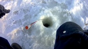 Зимняя рыболка на Оке в сильный мороз