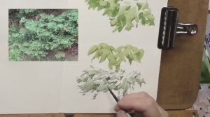 Быстрое и простое упражнение по упрощению рисунка листвы для акварелистов