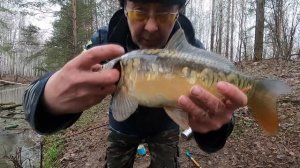 КАРП на КУКУРУЗУ с рыбацкий сапог  Сезон - открыт . ПЕРВОЕ ЗАЛЫБЛЕНИЕ - 2026 .