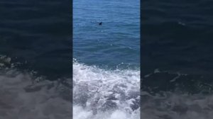 Пляж Сукко 20 Апреля 2026 года. Немного Большого Утриша из окна автобуса.