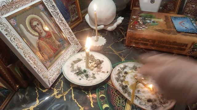 Чистка. ЖАБЬЯ  И  ПАУЧЬЯ  ПОРЧА.