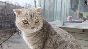 Всё так хорошо начиналось...