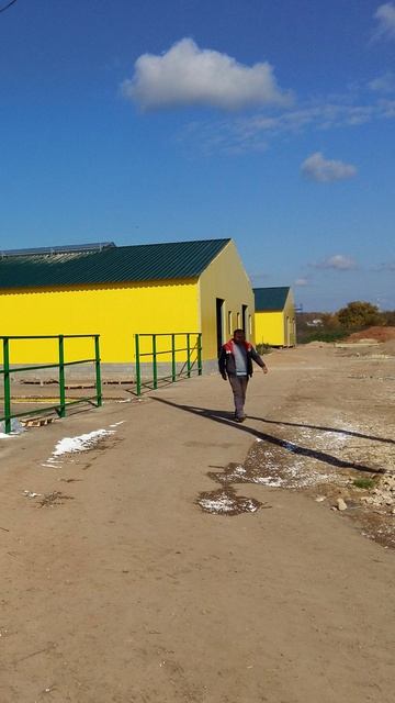 Проект коровника на 50 гол