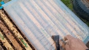 21 апреля. Расширяем пчелосемьи