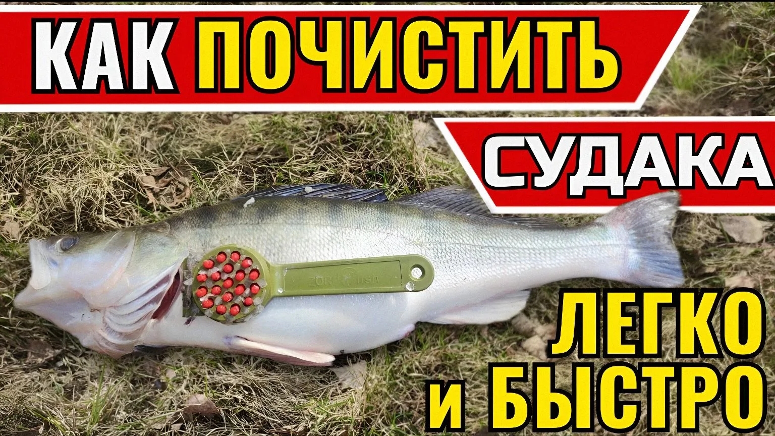 Как легко и быстро почистить рыбу судак