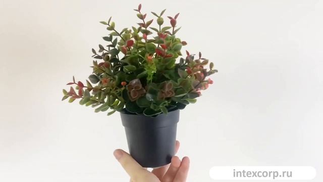 Искусственное растение в горшке ГАУЛЬТЕРИЯ, 22 см, 5010100.mp4