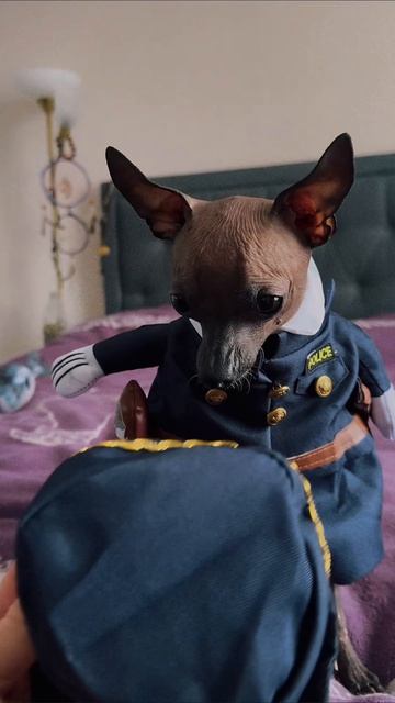 #собака #мия #полиция #москва #весна #любовь #мир