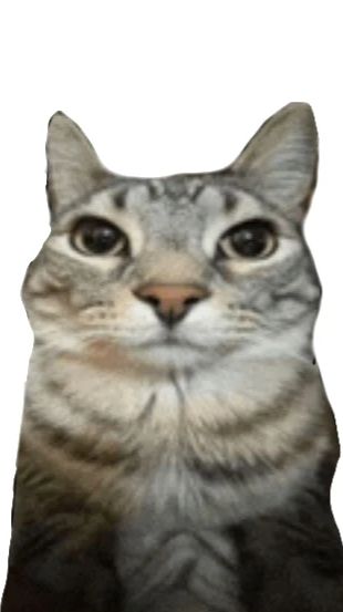 Почему канал в рутубе неактивен?