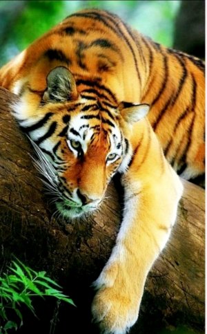 24 часа в больнице