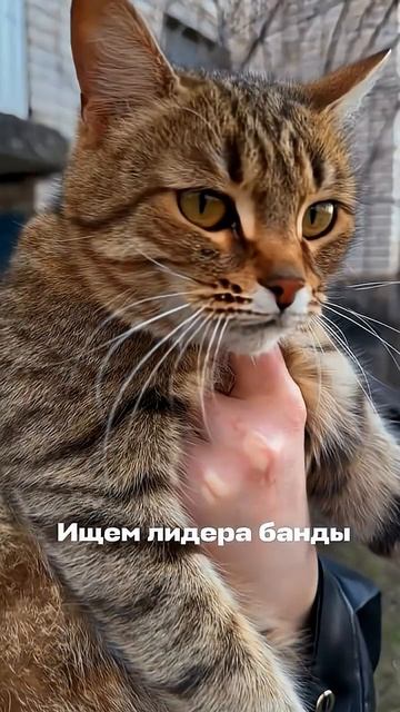 Все ребята мутные😎