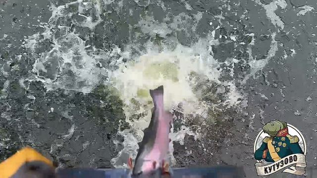 Запуск форели на лесном пруду 21.04