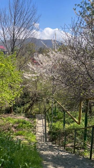 Вы посмотрите какая красота 😻