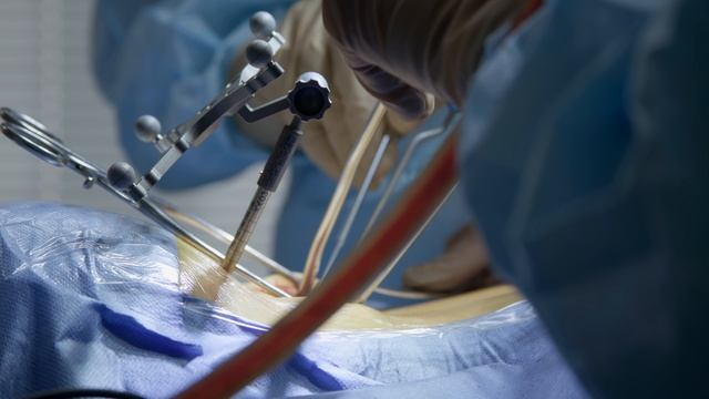 Фильм о Конгрессе АТОР «Секреты мастерства: как я это делаю. Живая хирургия», 20–21.03.26