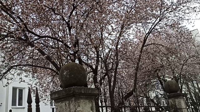 19 апреля 2026 год