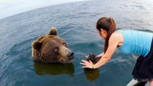 ЖИВОТНЫЕ, КОТОРЫЕ ОБРАТИЛИСЬ К ЛЮДЯМ ЗА ПОМОЩЬЮ