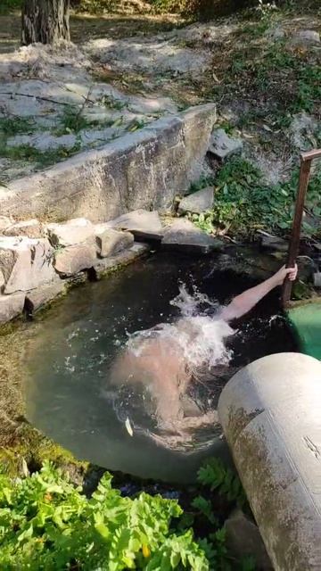 @vladimir_bruha тел. 89604549486 за помощью обращайтесь в Мах.