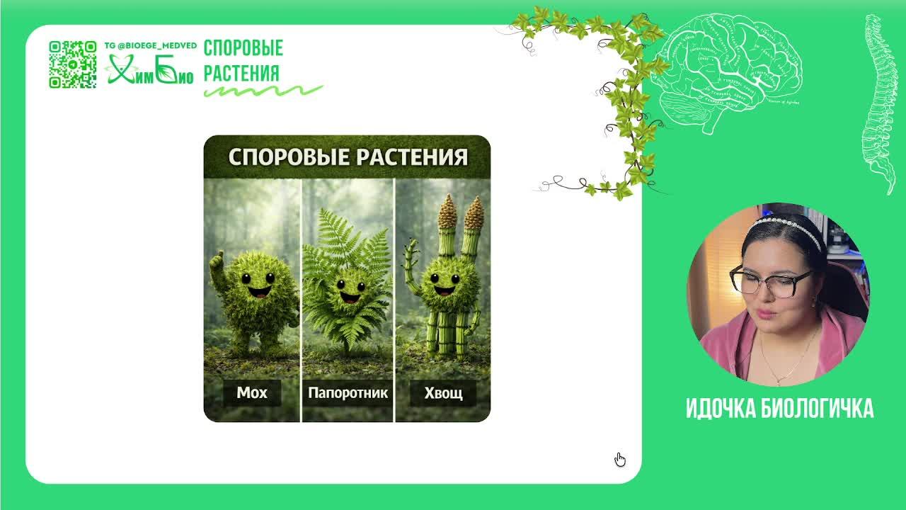 Споровые и Голосеменные