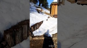 Зима 2026 прогулка к речке.