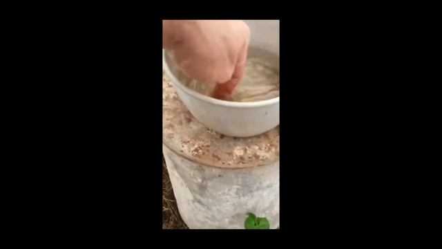 как ещё  можно  обогреть отдельную грядку в теплице.