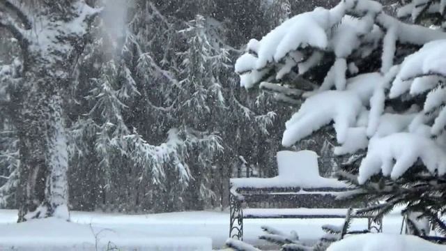 Утро 21.04.2026 Во Владимирскую область заглянула зима. Снежное утро в городе Вязники