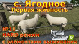 Farming Simulator 25. Ягодное HARD №11. Первая живность.