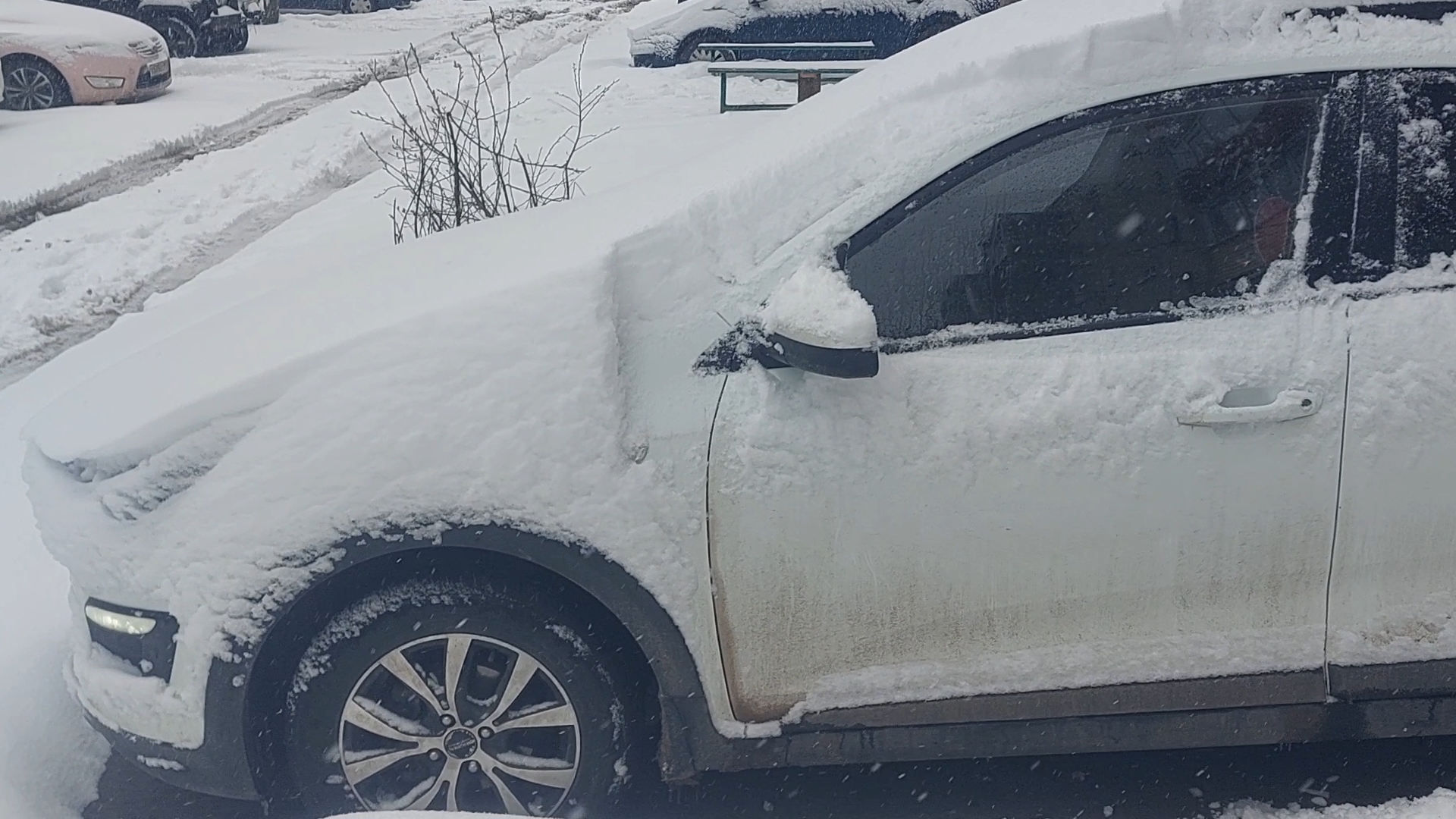 Опять пришла зима 21.04.2026