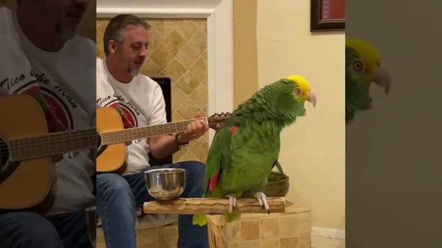 VID_20260421_165210_447.mp4