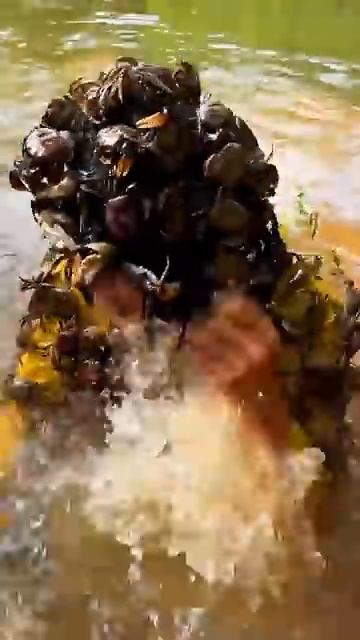 Ловля крабов 🤣