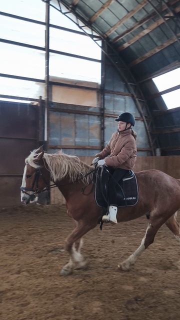 Василиса впервые поднимает Каспера в галоп.